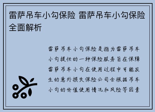 雷萨吊车小勾保险 雷萨吊车小勾保险全面解析